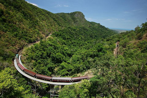 Skyrail Rainforest Cableway Day Trip From Cairns - Accommodation Mermaid Beach 5
