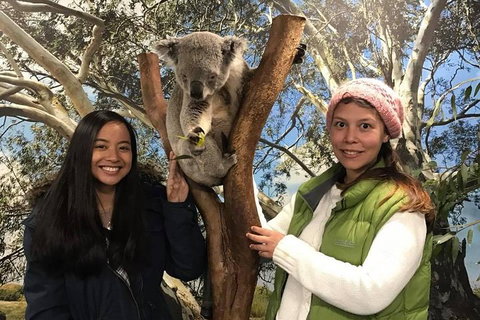 The Ultimate Sydney Attractions Pass - Accommodation Mermaid Beach 1
