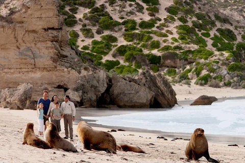 Kangaroo Island Scenic Trail Tour - Accommodation Mermaid Beach 5