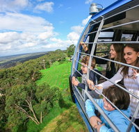 Peninsula Hot Springs tour with restaurant lunch  gondola ride - Accommodation Mermaid Beach