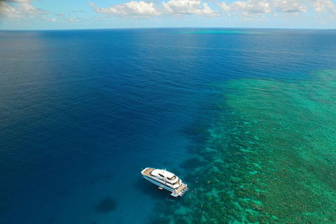 Great Barrier Reef Snorkeling And Diving Cruise From Cairns - Accommodation Mermaid Beach 4