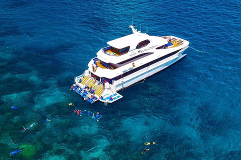 Great Barrier Reef Snorkeling And Diving Cruise From Cairns - Accommodation Mermaid Beach 5