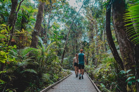 Full Day Cooktown Private Tour - Accommodation Mermaid Beach 0