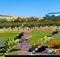 Private Picnic and Wine Tasting Experience in Barossa Valley - Accommodation Mermaid Beach