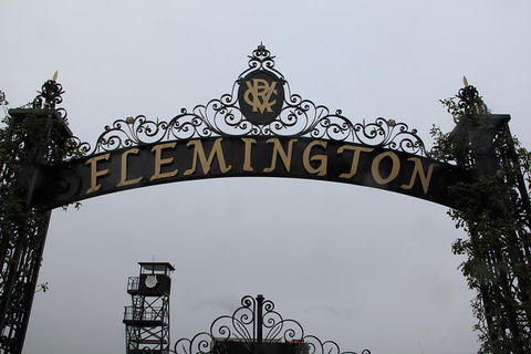 Half-Day Sports Lovers Bus Tour Of Melbourne With Tour Options - Accommodation Mermaid Beach 3