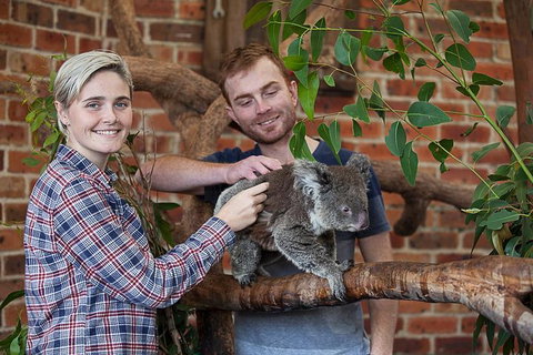 Private Tour: Blue Mountains Day Trip From Sydney - Accommodation Mermaid Beach 0