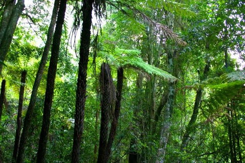 Private Tour: Blue Mountains Day Trip From Sydney - Accommodation Mermaid Beach 4