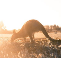 Small Group Mornington Peninsula Hike and Hot Springs Day Tour from Melbourne - Accommodation Mermaid Beach