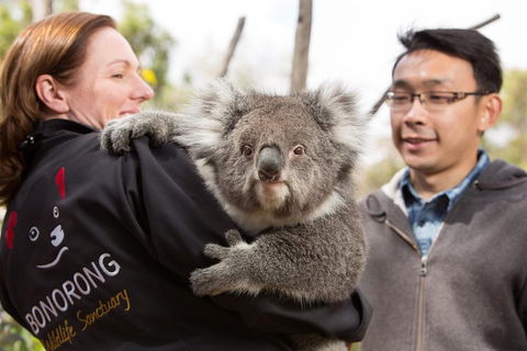 Bonorong Wildlife Park And Richmond Afternoon Tour From Hobart - Accommodation Mermaid Beach 0