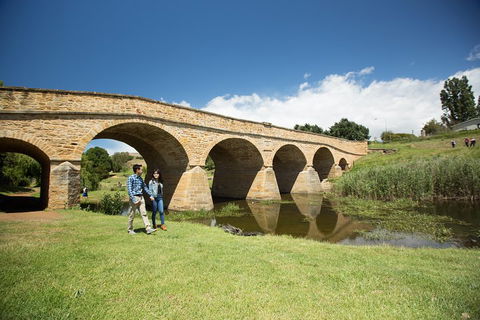 Bonorong Wildlife Park And Richmond Afternoon Tour From Hobart - Accommodation Mermaid Beach 2