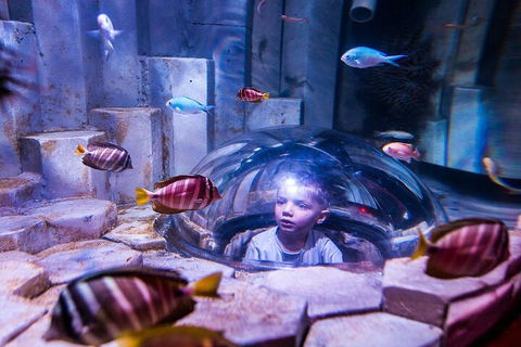 Melbourne BIG Ticket - LEGOLAND Discovery And SEA LIFE Melbourne - Accommodation Mermaid Beach 5