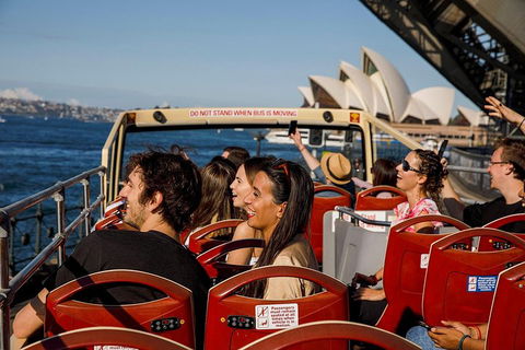 Hop-On Hop-Off Bus And PLUS 4 Merlin Attractions - Accommodation Mermaid Beach 1