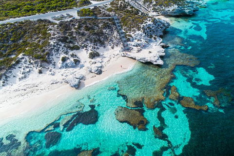 Rottnest Island Round-Trip Ferry From Perth Or Fremantle - Accommodation Mermaid Beach 0