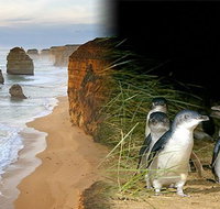 Melbourne Super Saver Great Ocean Road  Phillip Island  Attraction Pass - Accommodation Mermaid Beach