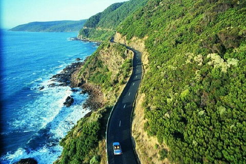 Melbourne Super Saver: Great Ocean Road + Mornington Peninsula + Attraction Pass - Accommodation Mermaid Beach 0