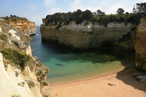 Melbourne Super Saver: Great Ocean Road + Mornington Peninsula + Attraction Pass - Accommodation Mermaid Beach 3