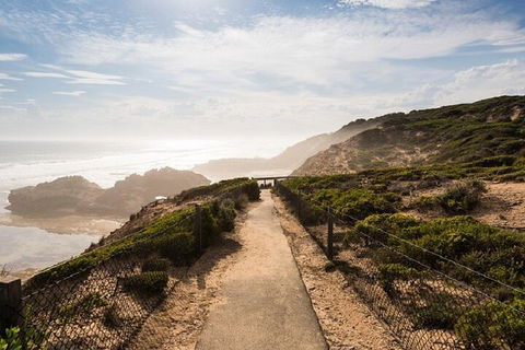 Melbourne Super Saver: Great Ocean Road + Mornington Peninsula + Attraction Pass - Accommodation Mermaid Beach 4