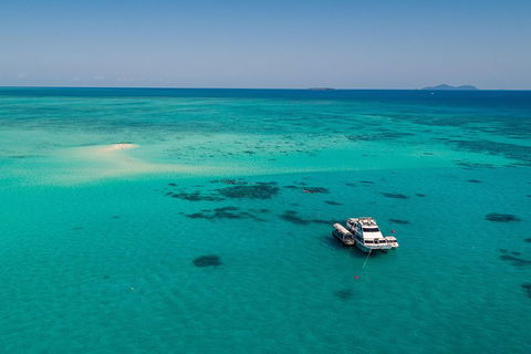 Ocean Freedom Great Barrier Reef Personal Luxury Snorkel & Dive Cruise, Cairns - Accommodation Mermaid Beach 2
