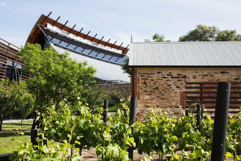 Australian Wine Discovery Tour With Tastings - Accommodation Mermaid Beach 1