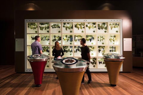 Australian Wine Discovery Tour With Tastings - Accommodation Mermaid Beach 4
