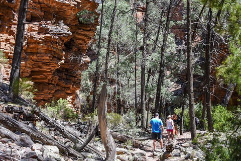 6-Day Eyre Peninsula & Flinders Ranges Adventure Tour - Accommodation Mermaid Beach 5