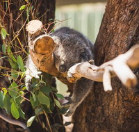 Melbourne City Tour and Phillip Island in One Day - Accommodation Mermaid Beach
