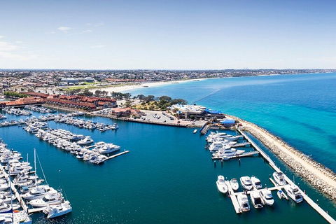 Lunch And General Admission Entry At AQWA - Accommodation Mermaid Beach 3