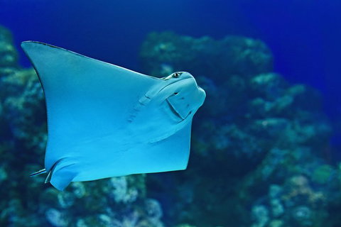 Cairns Aquarium Admission Ticket - Accommodation Mermaid Beach 2