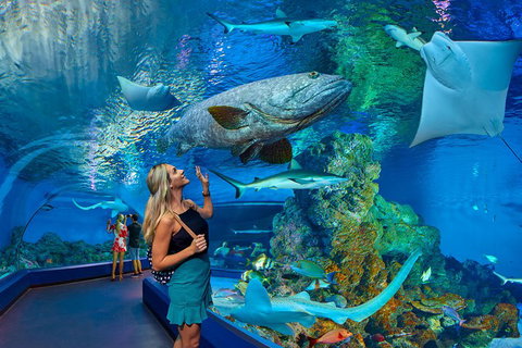 Cairns Aquarium Admission Ticket - Accommodation Mermaid Beach 3