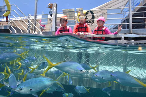 Outer Reef Pontoon Experience From Cairns - Accommodation Mermaid Beach 0