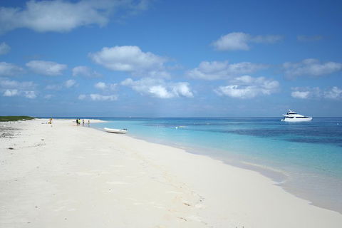 Seastar Luxury Outer Great Barrier Reef Island And Reef Tour From Cairns - Accommodation Mermaid Beach 3