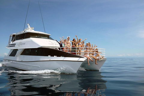 Seastar Luxury Outer Great Barrier Reef Island And Reef Tour From Cairns - Accommodation Mermaid Beach 4