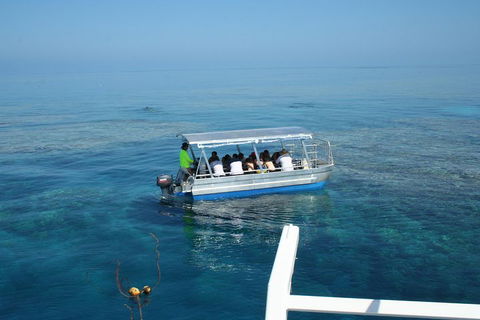 Seastar Luxury Outer Great Barrier Reef Island And Reef Tour From Cairns - Accommodation Mermaid Beach 5