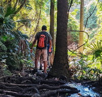 Hike to the Figure Eight Pools