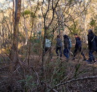Wild Australian Wildlife 4WD Tour from Sydney