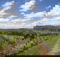 Hunter Valley Wine Tour from Sydney incl Lunch Cheese Chocolate and Distillery - Accommodation Mermaid Beach