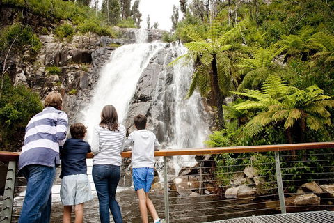Lake Mountain Snow Trip Including Yarra Valley Chocolaterie From Melbourne - Accommodation Mermaid Beach 0