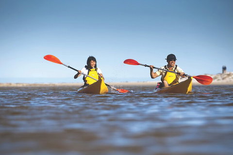 Kangaroo Island Self-Guided Kayaking On The Harriet River - Accommodation Mermaid Beach 2