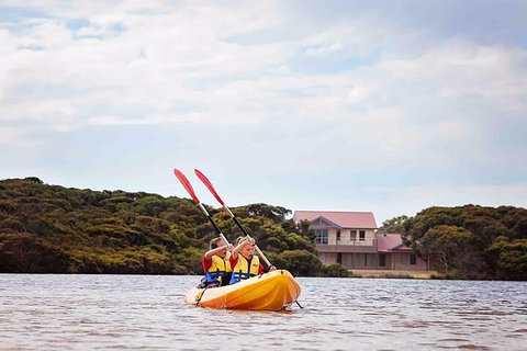Kangaroo Island Self-Guided Kayaking On The Harriet River - Accommodation Mermaid Beach 5