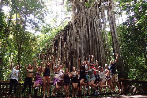Atherton Tablelands Waterfalls Tour From Cairns - Accommodation Mermaid Beach 5