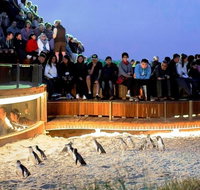Great Ocean Road  Phillip Island - 3 Days 2 Nights - Accommodation Mermaid Beach