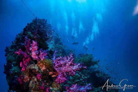 Scuba Dive The S.S. Yongala Wreck On The Great Barrier Reef. - Accommodation Mermaid Beach 2