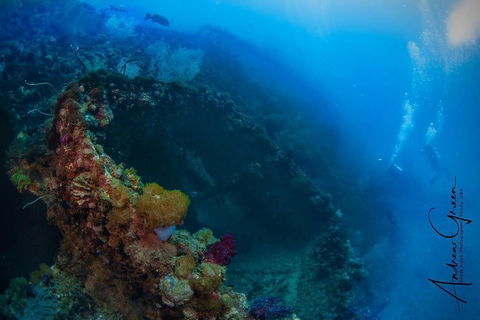 Scuba Dive The S.S. Yongala Wreck On The Great Barrier Reef. - Accommodation Mermaid Beach 3