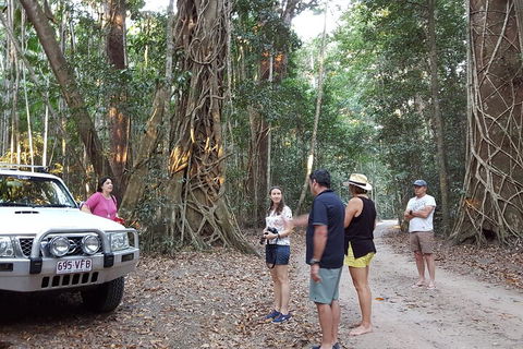 Great Beach Drive 4WD Tour - Private Charter From Noosa To Rainbow Beach - Accommodation Mermaid Beach 1
